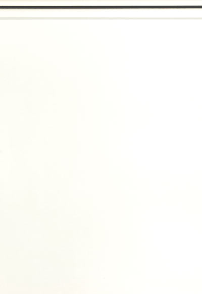 1. Panneaux lisses — Blanc